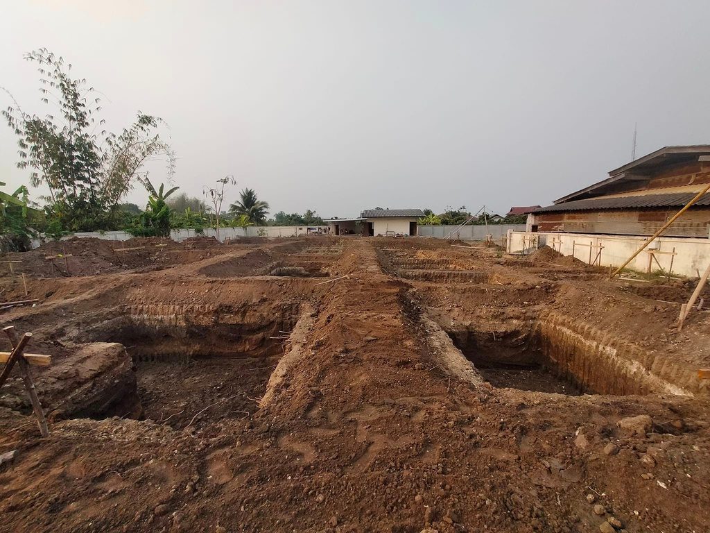 งานวางฐานราก - ORCANA
